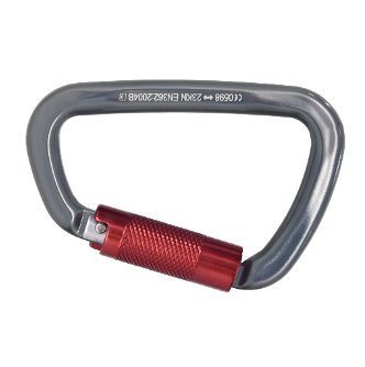 แบบ D-Shape (ทรงตัว D)