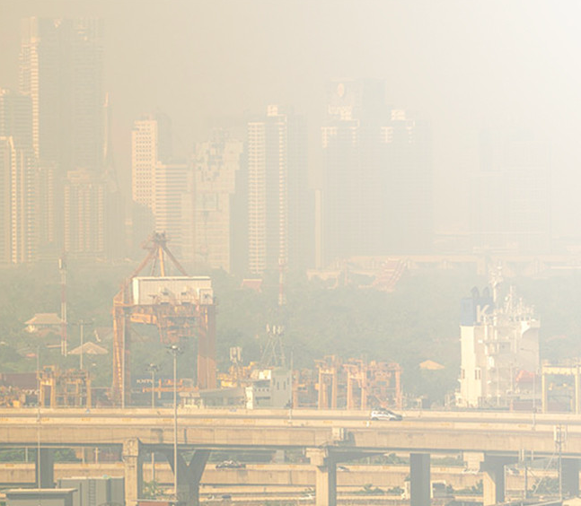 อันตรายของการสูดดมฝุ่น PM 2.5 ระยะยาว