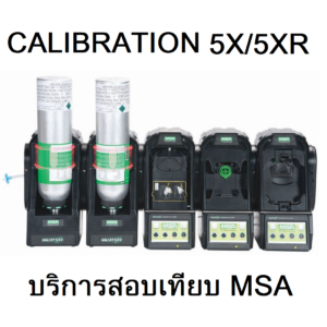 Receive calibration of gas-gas meters, brand MSA, model 5X/5XR (LEL,CO,O2,H2S)